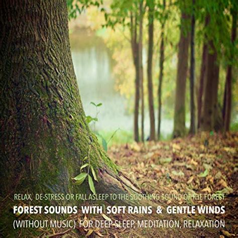 Unlocking the Mysteries of Forest Soundscapes: A Lush World of Audio